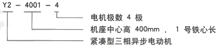 YR系列(H355-1000)高压YJTFKK4503-8三相异步电机西安西玛电机型号说明